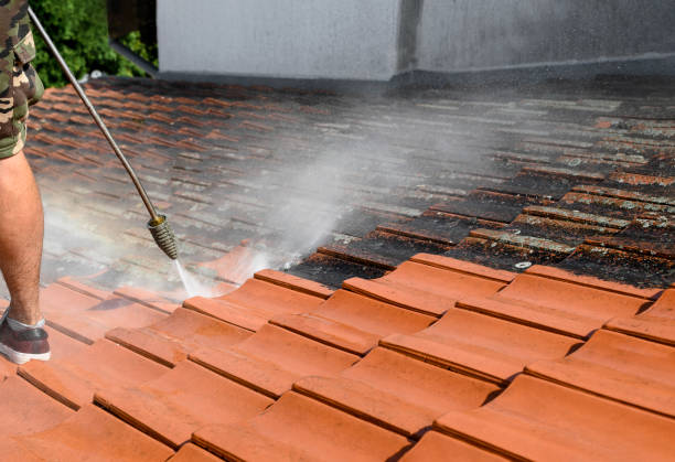 Pressure Washing Estimates in Maple Park, IL